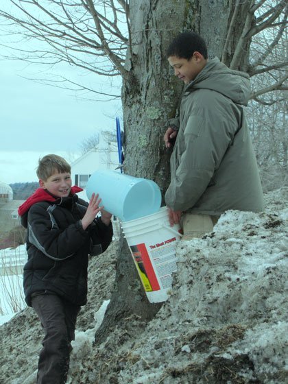Maple-Sugaring-2011-038