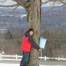 tree hugger
