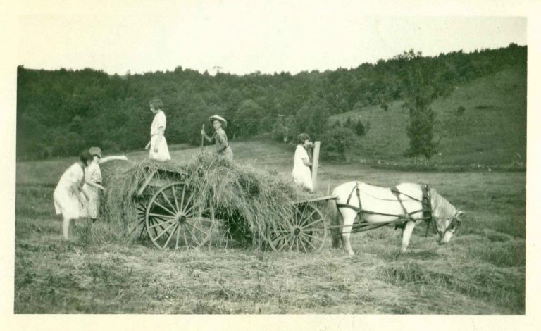 1920skurnhattinhaywagon