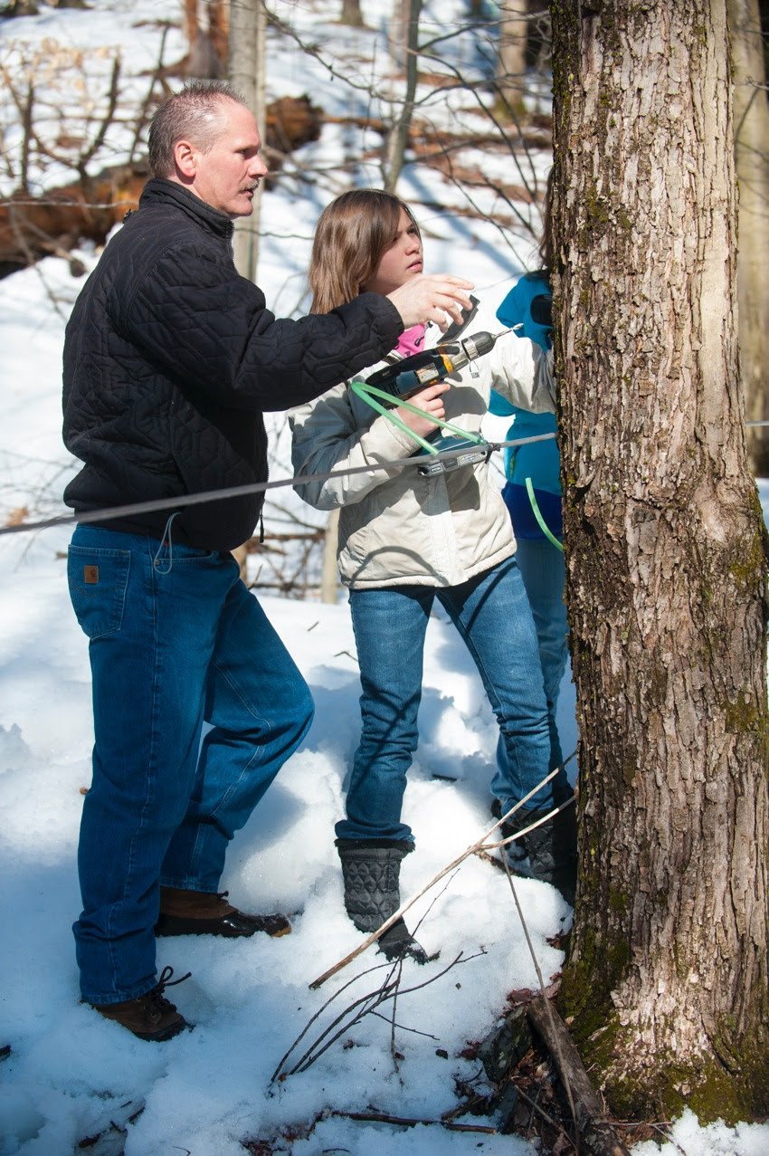 tom fontaine sugaring