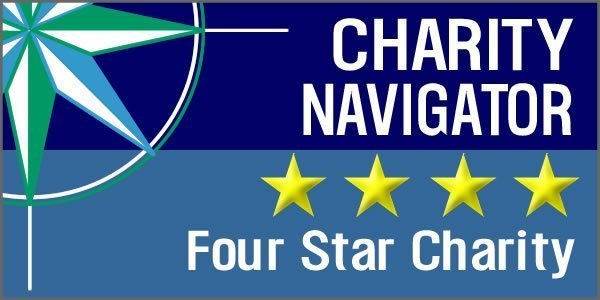 CharityNavigator4 StarLogo