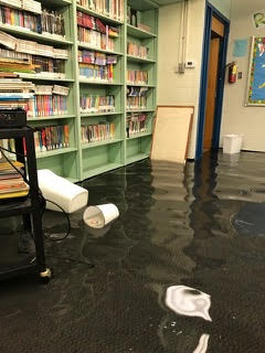 Harvey Photo 1