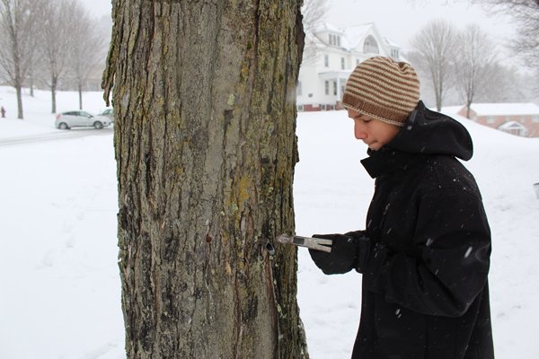 Sugaring 2018