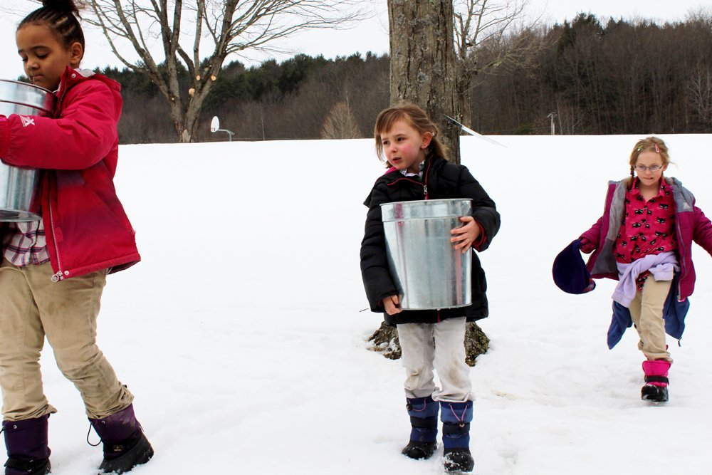 Its Sugar Season at Kurn Hattin Photo 2