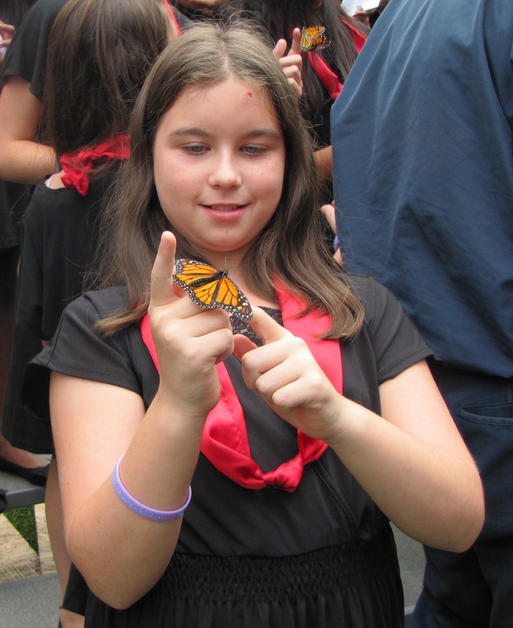 Wings of Hope 9.2013 064 Small