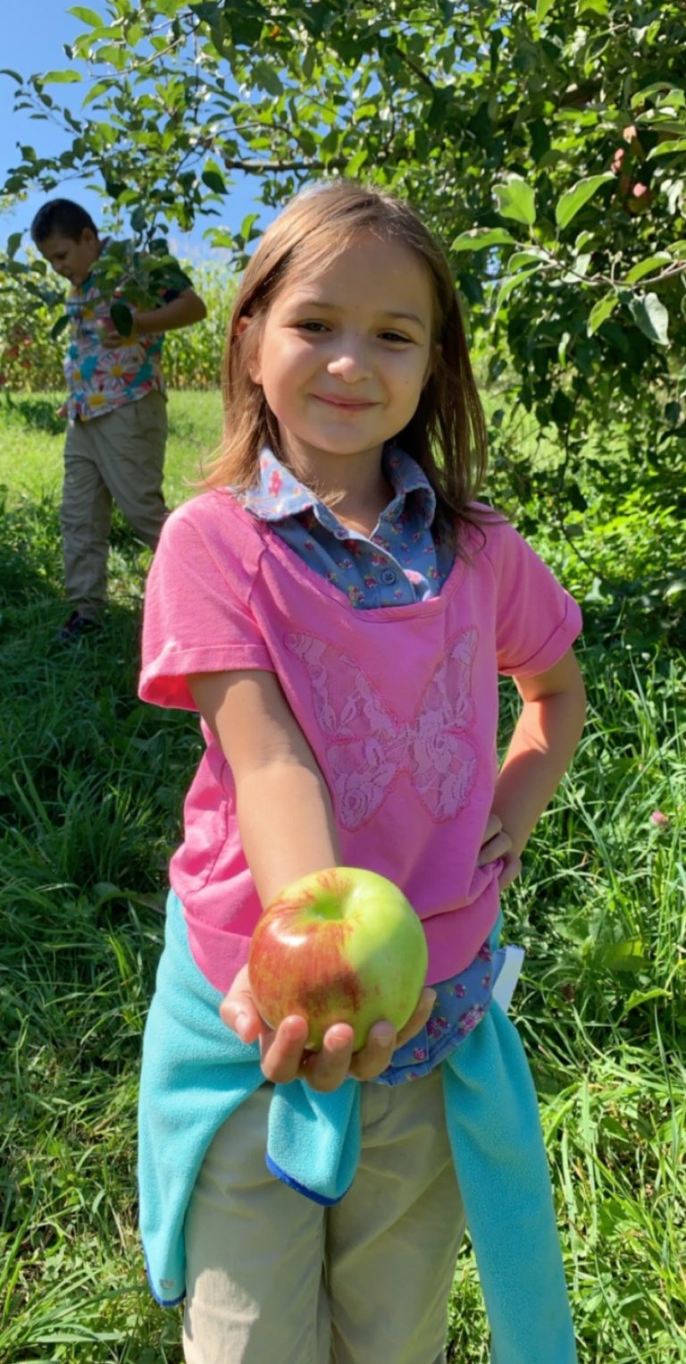 KH19 ApplePicking 1