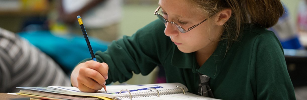 Academic Opportunities