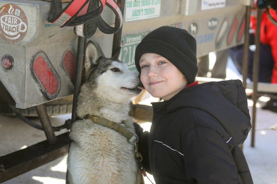 Siberian Husky Sled Dogs Pull into Kurn Hattin