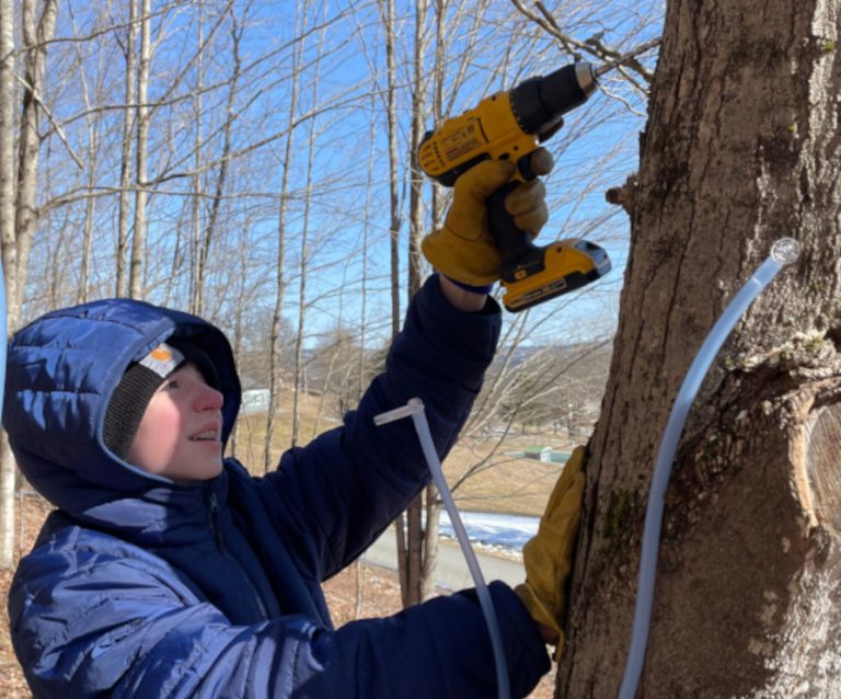 A child in a blue hooded jacket holding a drill to a tree.