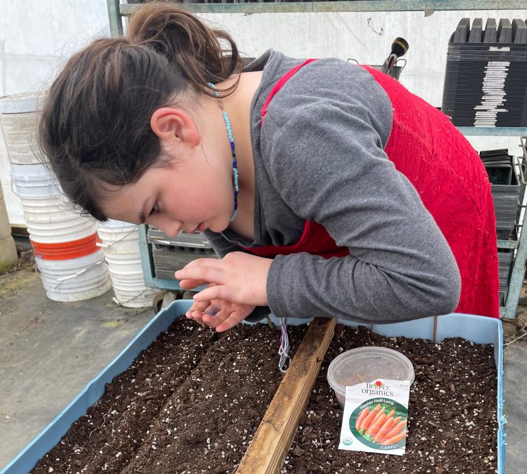 A girl planting carrot seeds.