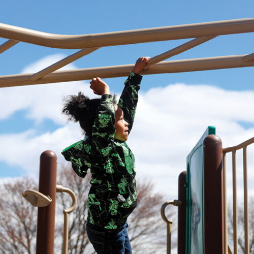 Monkey Bars